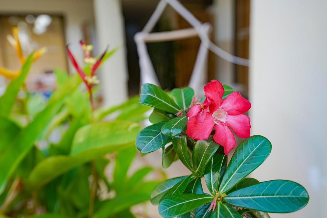 Royal Cottage Residence Lamai Beach  Bagian luar foto